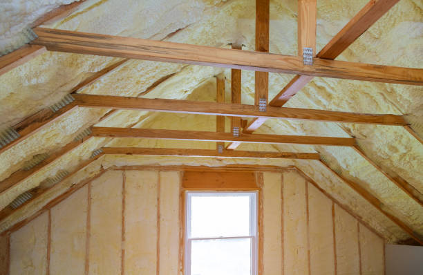 Best Insulation Inspection Services  in Ridgeville, SC