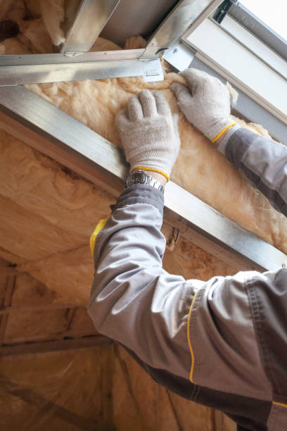 Best Insulation Inspection Services  in Ridgeville, SC