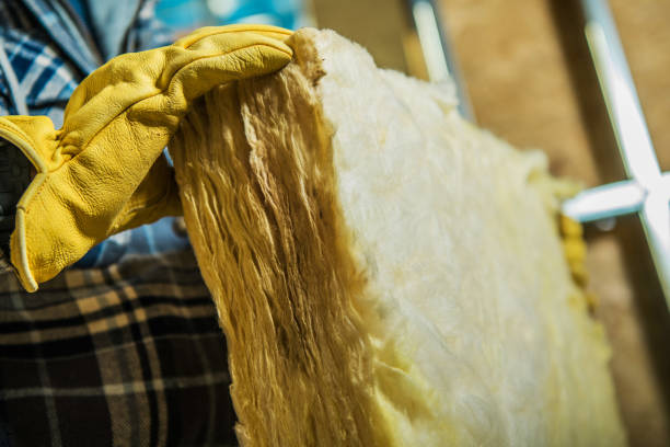 Best Attic Insulation Installation  in Ridgeville, SC