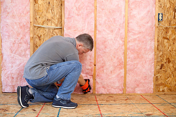 Best Energy-efficient Insulation  in Ridgeville, SC